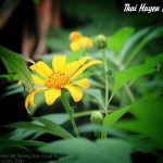 Mang Theo Hệ Thống Sinh Hoạt Nuôi Bánh Bao