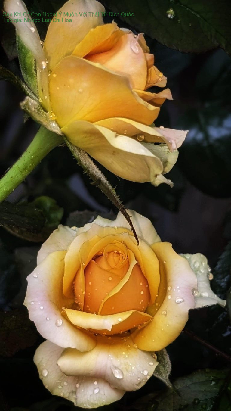 Sau Khi Có Con Ngoài Ý Muốn Với Thái Tử Địch Quốc