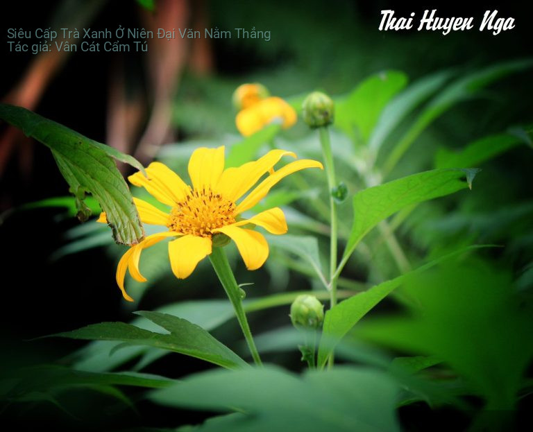 Siêu Cấp Trà Xanh Ở Niên Đại Văn Nằm Thẳng
