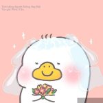 Tình Mỏng Người Không Hay Biết