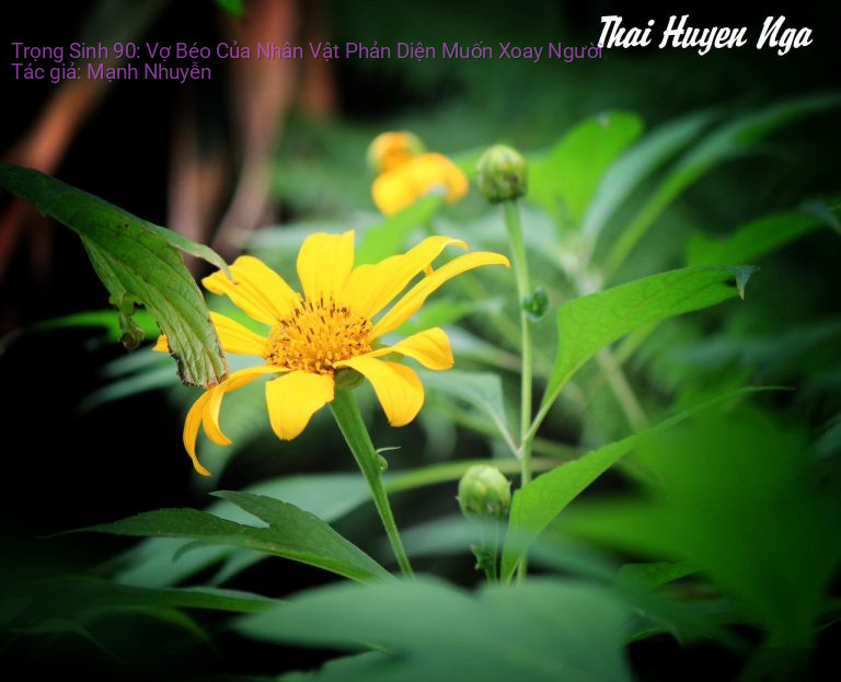 Trọng Sinh 90: Vợ Béo Của Nhân Vật Phản Diện Muốn Xoay Người